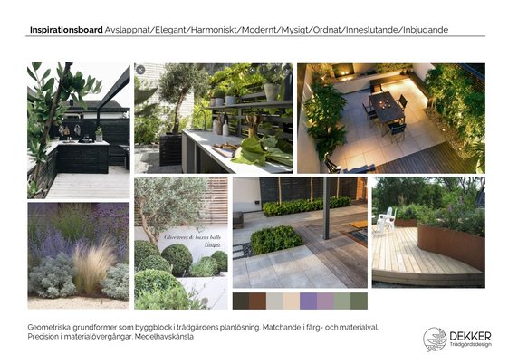 illustrationsboard projekt modern radhusträdgård