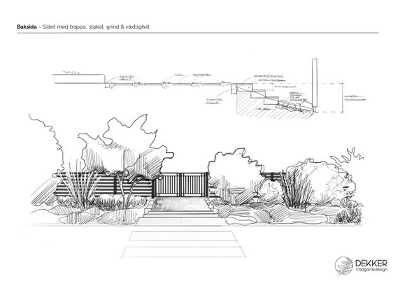idéskiss med sektionssnitt över plantering med staket projekt naturnära nyfunkisträdgård