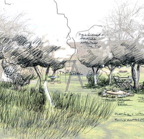 skiss på fruktträd med ängsyta projekt sekelskiftesvilla på landet