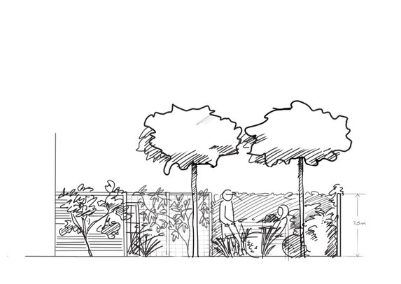 trädgårdsdesign sektionskiss radhus uteplats