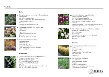 trädgårdsdesign växtlista exempel