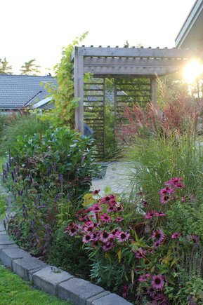 trädgårdsdesign pergola med kvällssol i september